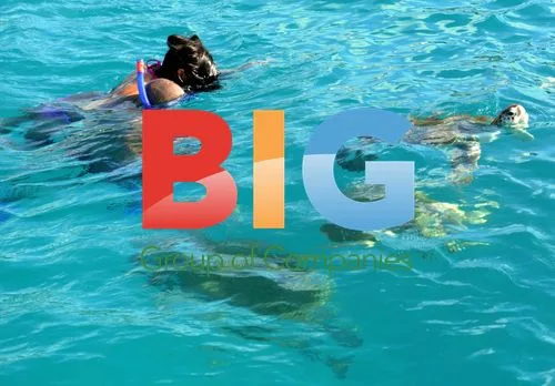 The Wanted's Max George and Michelle Keegan swimming with turtles