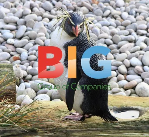London Zoo Annual Stocktake