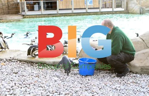 London Zoo Annual Stocktake