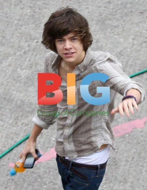 One Direction Arrive for Concert
