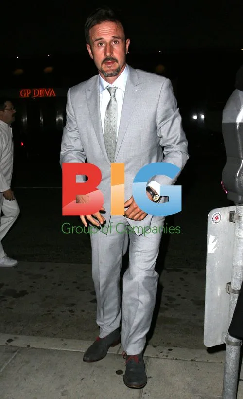 David Arquette Celebrates Sobriety