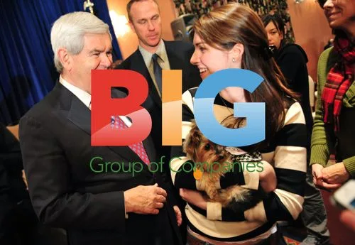 Newt Gingrich Speaks at New Hampshire Town Hall