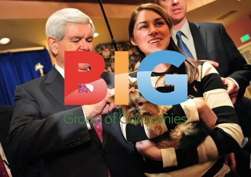 Newt Gingrich Speaks at New Hampshire Campaign Event
