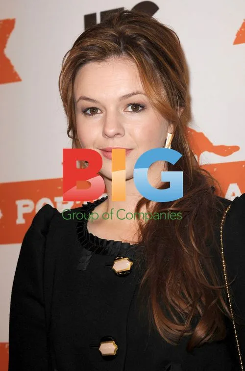 Amber Tamblyn at Portlandia Season 2 Screening