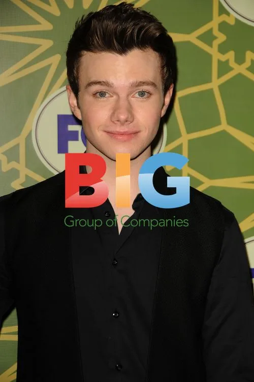 Chris Colfer at Fox's All-Star Party