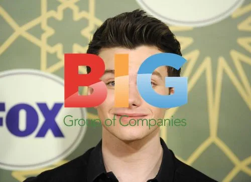 Chris Colfer at Fox Press Tour Party