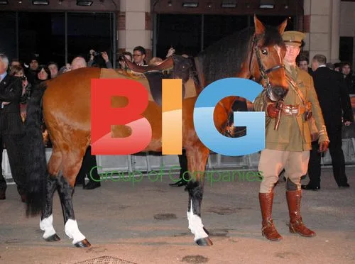 War Horse Premiere in London