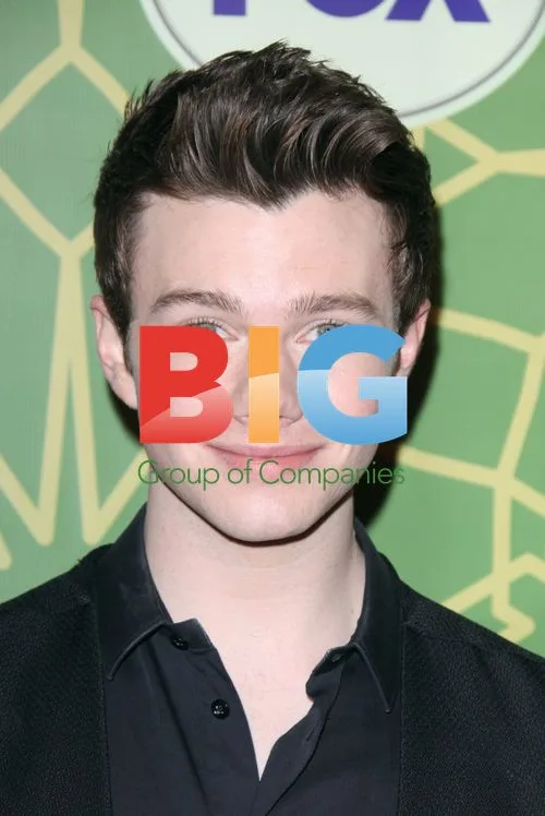 Chris Colfer at FOX TCA Party