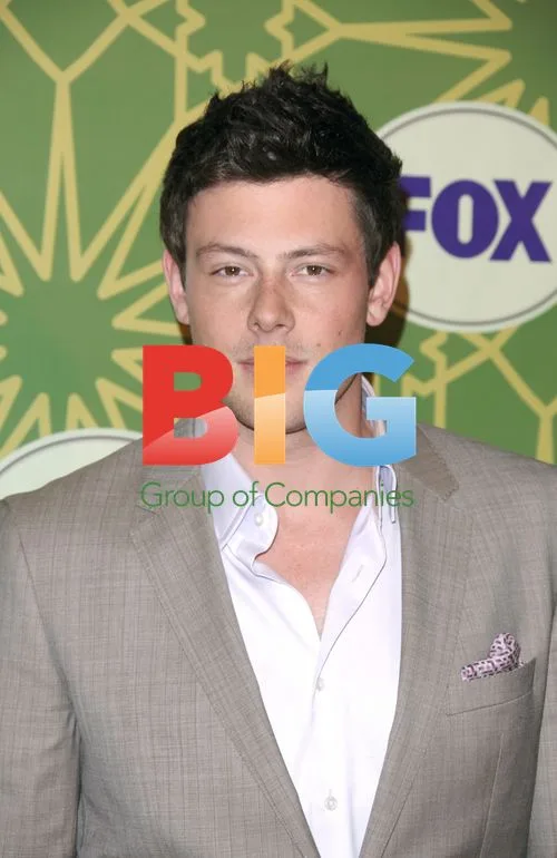 Cory Monteith at FOX TCA Party