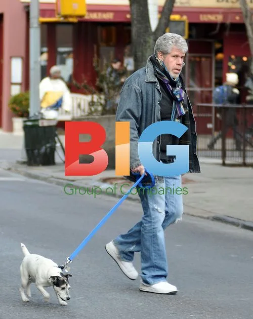Ron Perlman Walks Dog in NYC