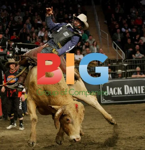 Professional Bull Riders Competition
