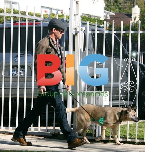Jon Hamm Walks Dog in Los Feliz