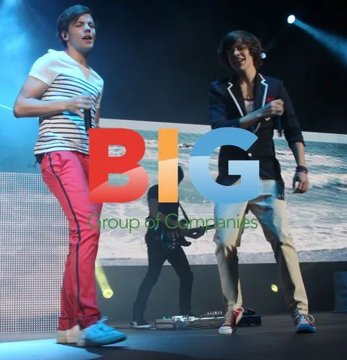 One Direction Boyband Concert