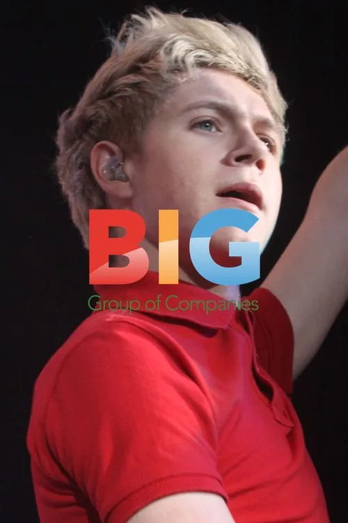 One Direction Performing in Liverpool