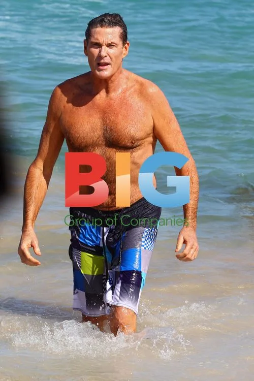 Hasselhoff, Jolliffe, Akermanis film Celebrity Apprentice Australia