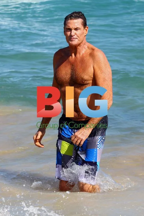 Hasselhoff, Jolliffe, Akermanis Film Celeb Apprentice