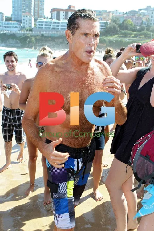 Hasselhoff, Jolliffe, Akermanis film Celeb Apprentice in Bondi