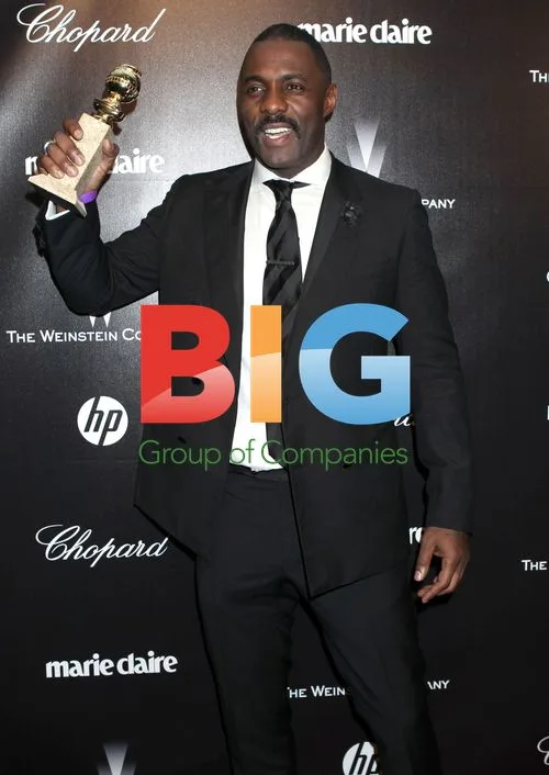 Idris Elba at Weinstein Company Golden Globe Party