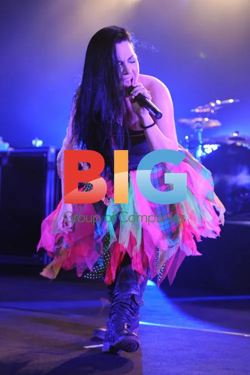 Amy Lee of Evanescence Live Performance