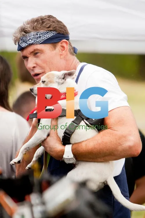 Celebrities Compete in 'Apprentice' Dog Wash