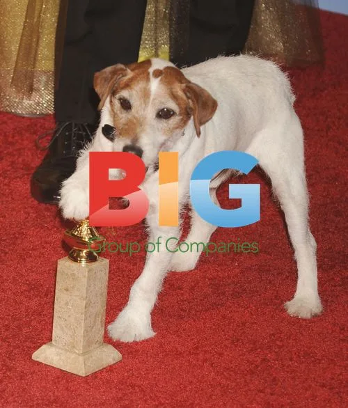Uggie the Dog at 69th Golden Globes