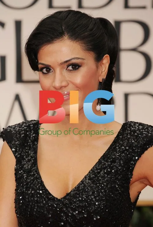 Sheila Shah at 69th Golden Globe Awards