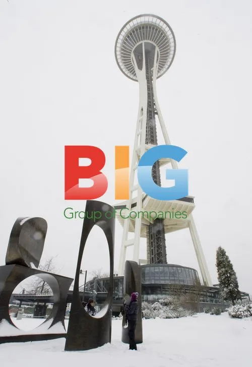 Seattle Residents Carry On After Snowstorm