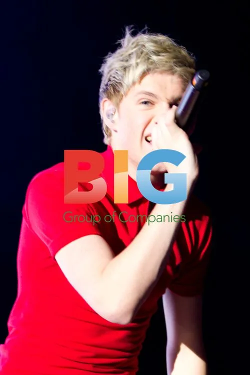 One Direction Concert in London