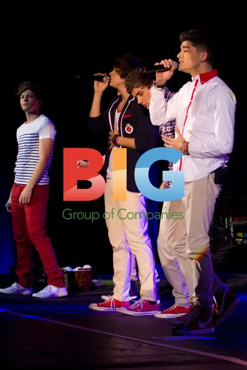 One Direction Concert