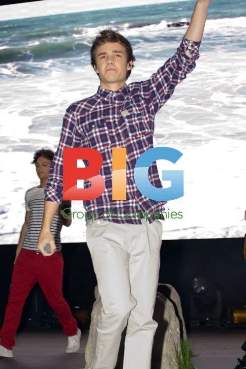 One Direction Concert in London