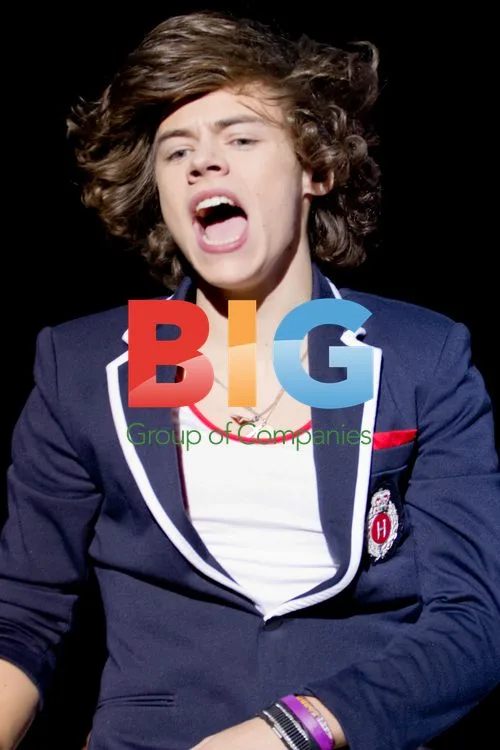 One Direction Concert in London