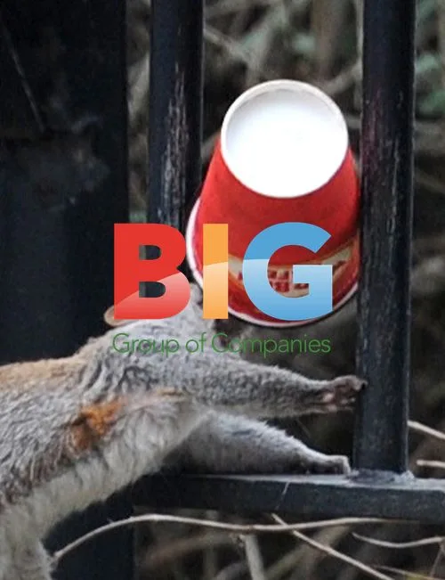Squirrel Enjoys Coffee at London Park