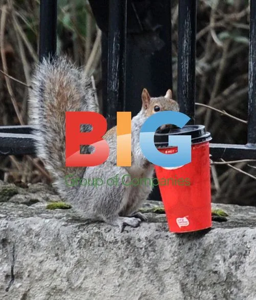 Squirrel Enjoys Coffee at London Park