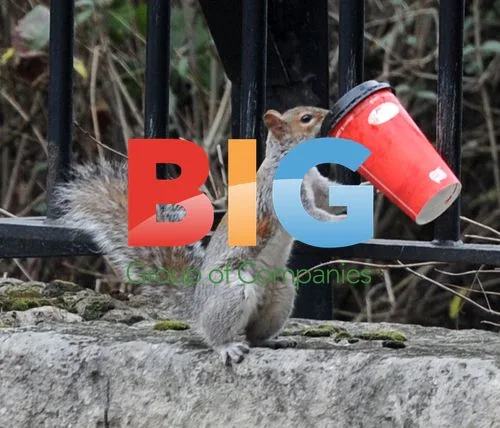 Squirrel Served Coffee in London Park
