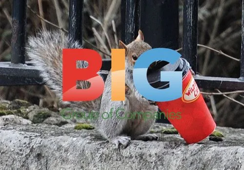 Squirrel Served Coffee in London Park