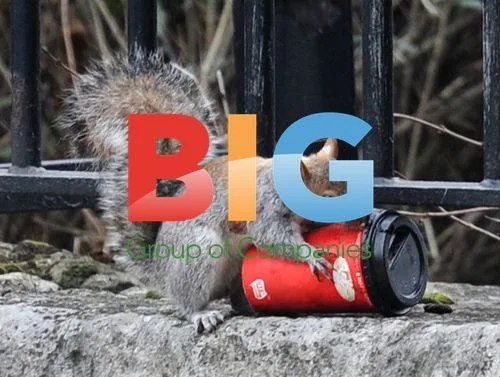 Squirrel Served Coffee at London Park