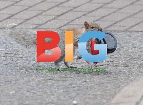 Squirrel Enjoys Coffee at London Park