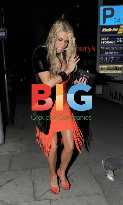 Katie Price out with brother and ex