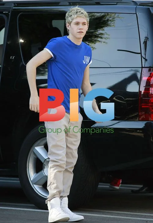 One Direction Greeted by Fans in LA