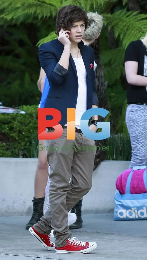 One Direction Greeted by Fans in LA
