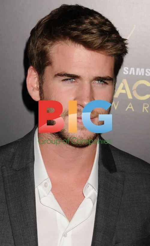 Liam Hemsworth at AACTA Awards