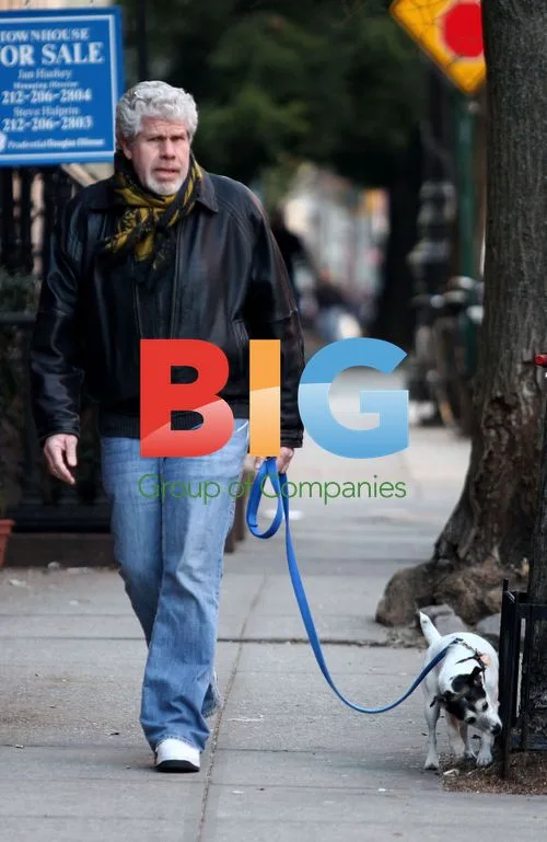 Ron Perlman walks dog in NYC