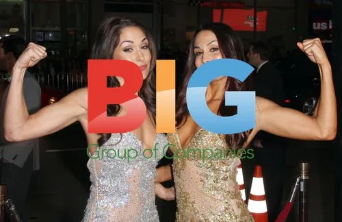 Brie and Nikki Bella at 'This Means War' Premiere