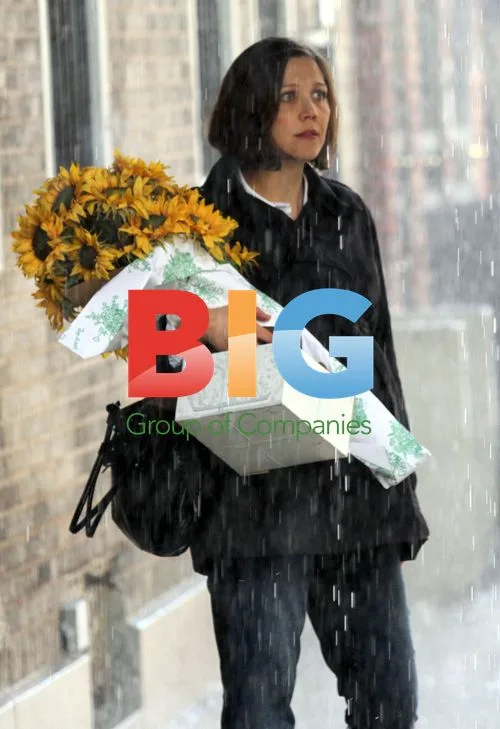 Maggie Gyllenhaal on 'The Corrections' TV Set