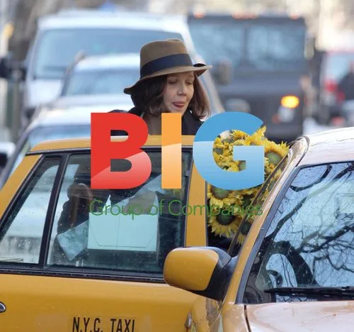 Maggie Gyllenhaal filming 'The Corrections' TV show