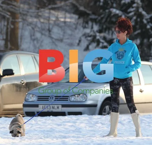 Amy Childs and Harry Derbidge Play in Snow with Dog