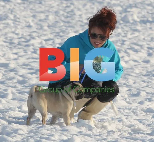 Amy Childs and Harry Derbidge Play in Snow with Pet Pug