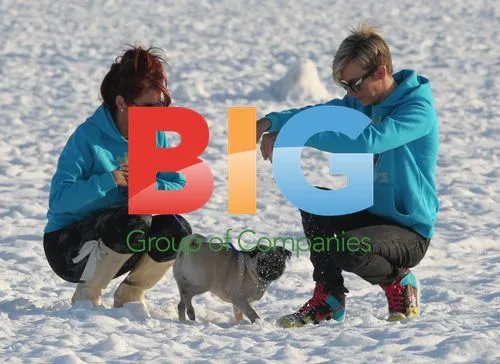 Amy Childs and Harry Derbidge Play in Snow with Pug