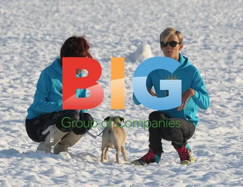 Amy Childs and Harry Derbidge Play in Snow with Pug