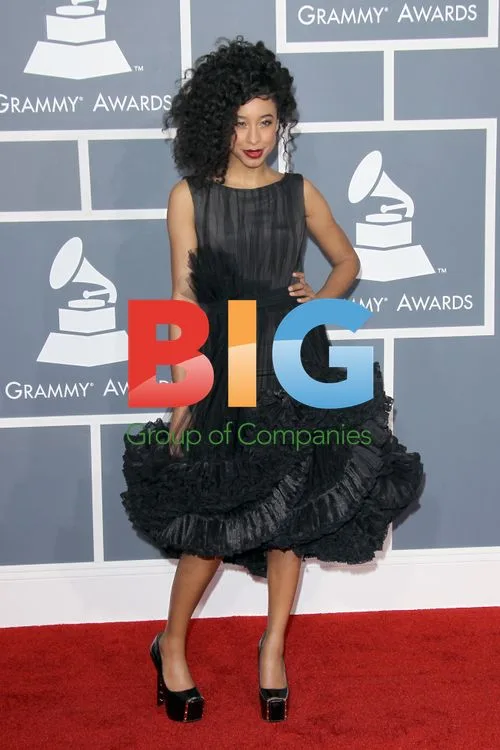 Corinne Bailey Rae at 54th Grammy Awards